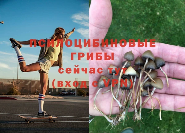 МДМА Пестово