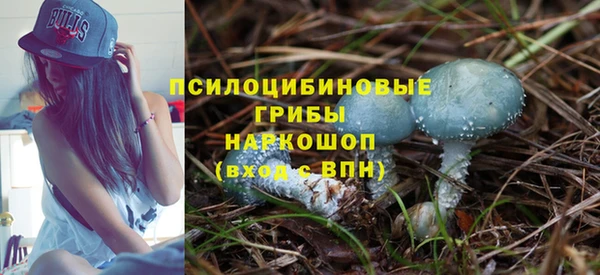 круглые Алексин