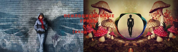 соль курить ск Пересвет