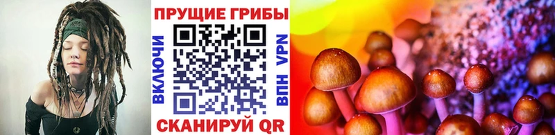 продажа наркотиков Покров Галлюциногенные грибы мицелий